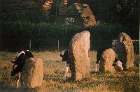 Avebury, Ring Of Enchantment