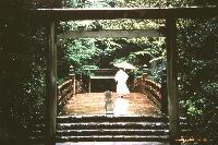 Jingu, The Grand Shrine Of Ise