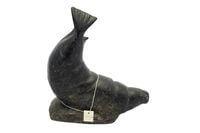 Diving Seal