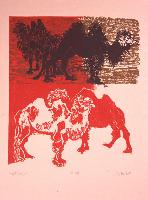 Camels