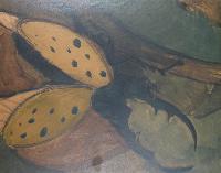 Beetle