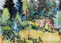 Edge of the Field (IIX90 Salt Spring Island)
