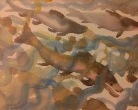 Salmon Run