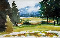 Saltspring Island January