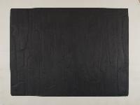 Constant and Transitional Forms Test Print I