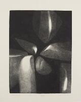 Benign and Hostile Forms - Artists's Proof