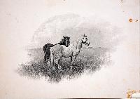 Untitled (Two Horses)