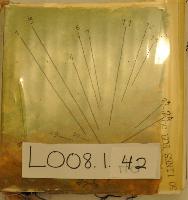(Artist's book) 50 lines for 50 words on Marcel Duchamp