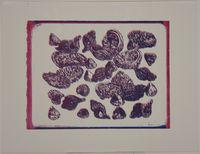 Untitled (Seashells)