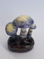 Cortinarius Traganus