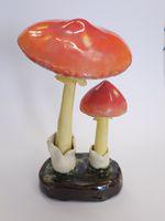 AManita caesarea