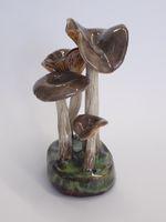 Clitocybe cyathiformis