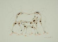 Untitled (Elk Cow Nurturing Calf)