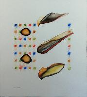 Untitled (Seed Pods)