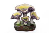 Cantharellus Clavatus