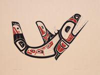 Killer Whale #1