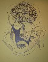 Untitled (Abstract Skull)