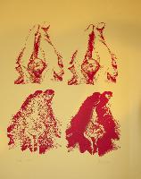 Proof in Red