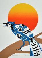B.C.'s Stellars Jay