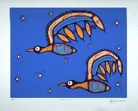 Night Flight