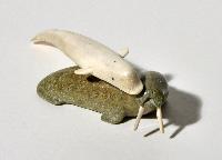 Untitled (whale and walrus)