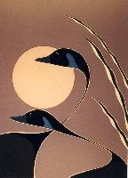 Daystar Shadows