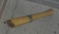 Untitled (Recorder)