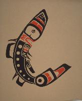 Shark Design