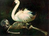 Skeleton and the Swan