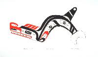 Killer Whale