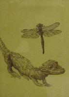Aligator and Dragonfly