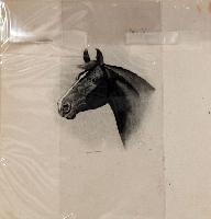Untitled (Horse Bust)