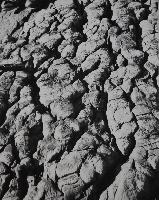 Solution Patterns on Limestone Surface - Newfoundland