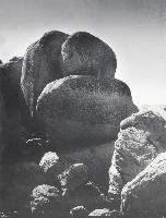 Rounded, Moore-Type Forms #5 - South Africa