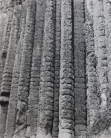 Tall Columnars - Iceland