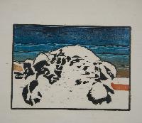 Deep Snow - Cariboo