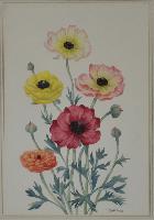 Untitled (anemones)