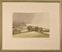 Fields near Buckfastleigh, Devon