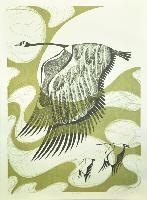 In Flight