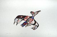 Raven Design