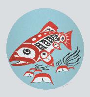 Salmon