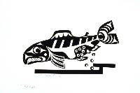 The Salmon Genesis