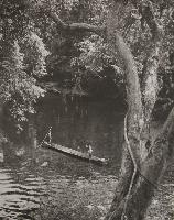 Untitled (Photograph)