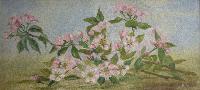 Blossoms