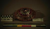Untitled (Conical Hat)