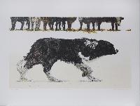 The Cowhand