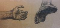 Study of Hand and Foot