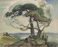 Untitled (Wind-Blown Tree)