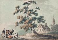 Domestic Landscape
