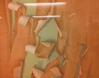 Arbutus Bark #1